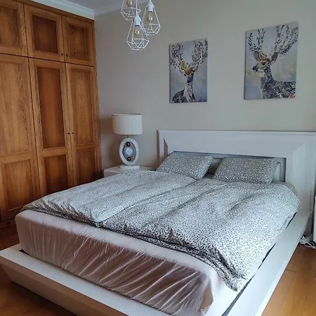 Apartamento Villamadeira - In