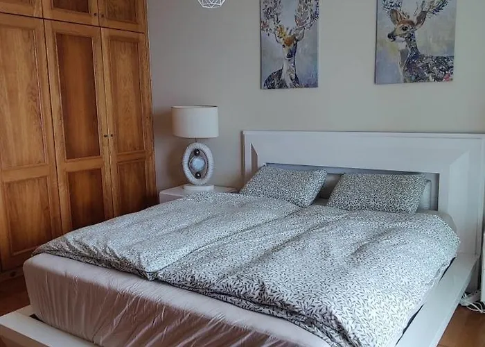 Appartement Villamadeira - In